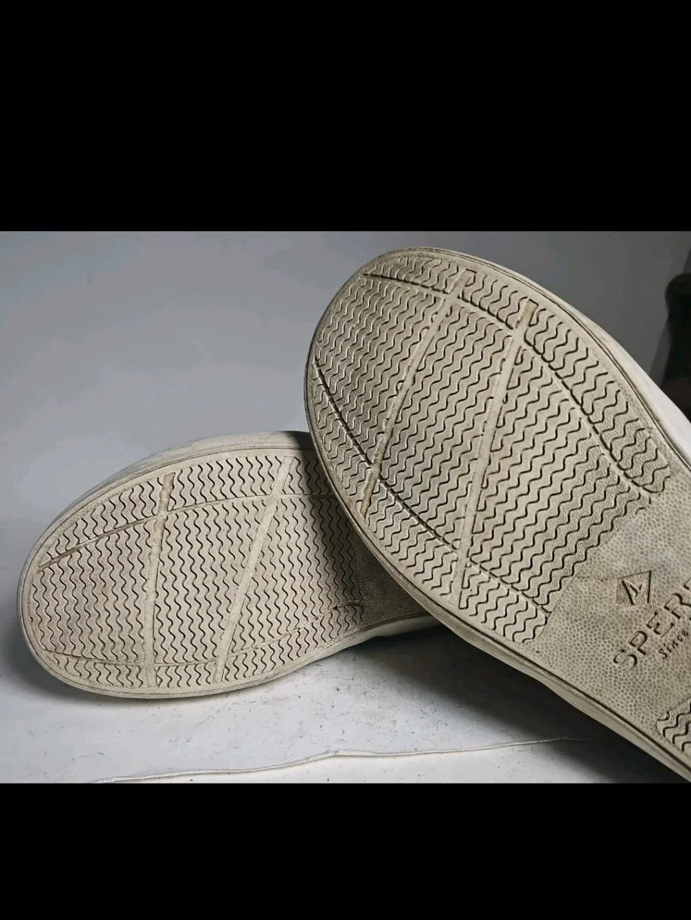 Sperry casual canvas